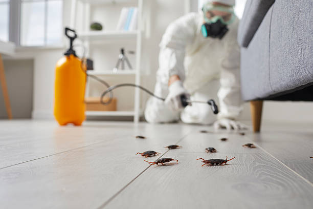 Commercial Kitchen Cockroach Control in Dranesville